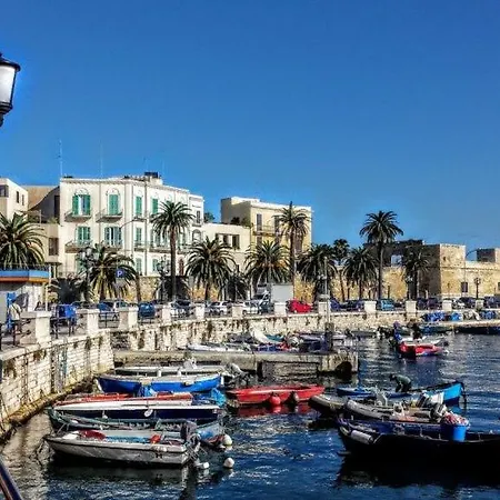 Apartment Whiteflower *